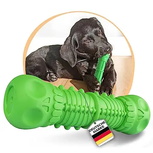 Kauspielzeug Hund Grün
