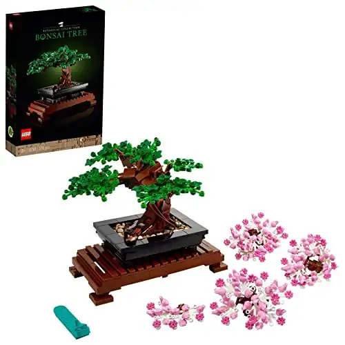 Bonsai Baum Deko-Set für Erwachsene