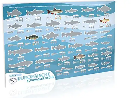 Rubbel-Fischposter mit Europäischen Fischen