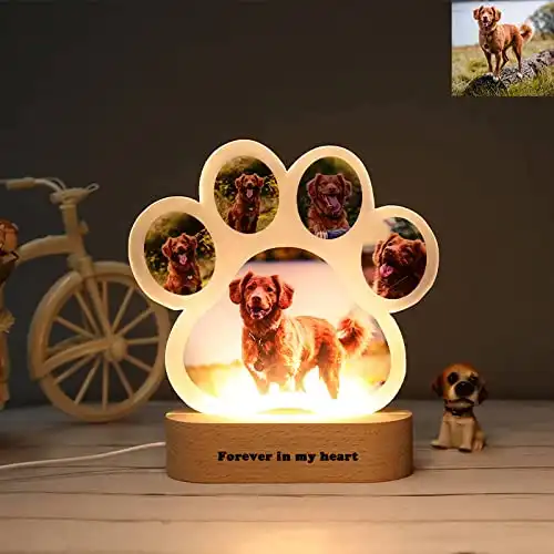 Personalisierte Hundepfote LED-Fotolicht