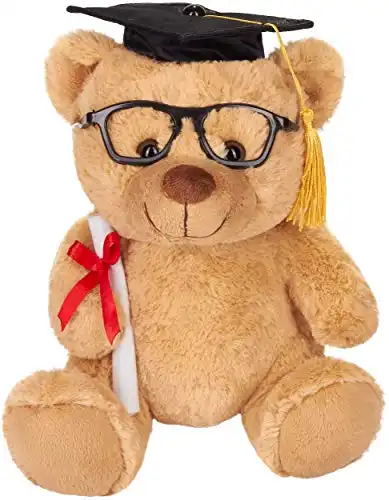 Teddy-Plüschbär mit Brille, Diplom und Doktorhut (25cm)