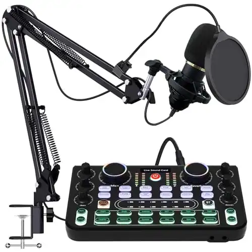Mikrofon für Live-Aufnahmen für PC, Karaoke und Spiel